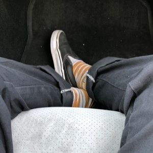 Meet your Posher, Cat